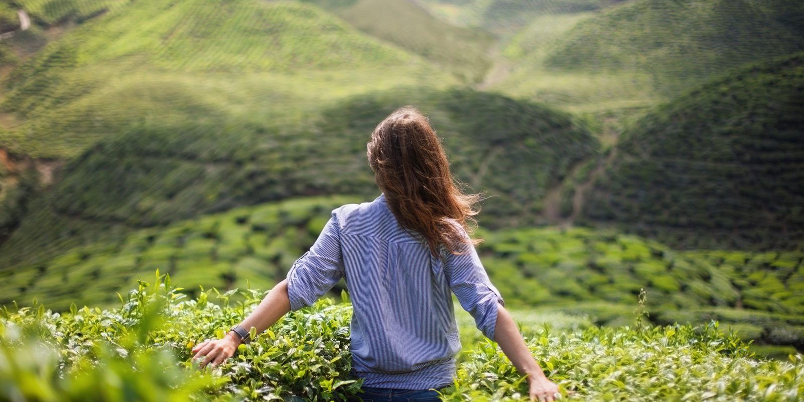 Janicecain.ca – Perfect whole and complete Perfect whole and complete