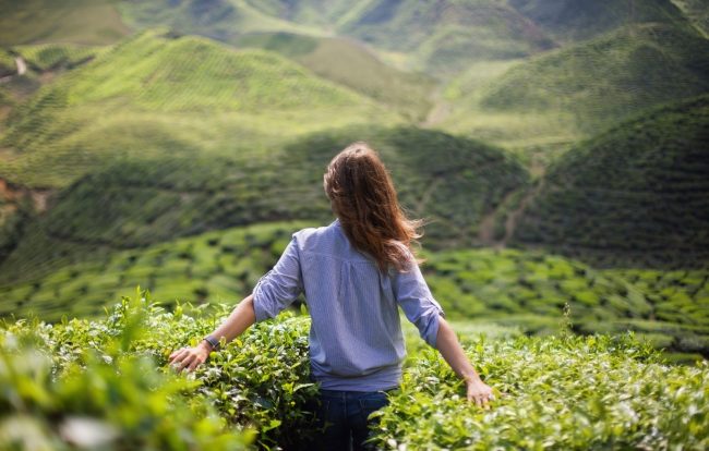 Janicecain.ca – Perfect whole and complete Perfect whole and complete