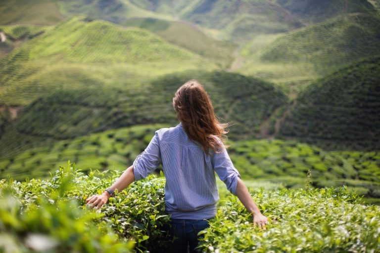 Perfect whole and complete